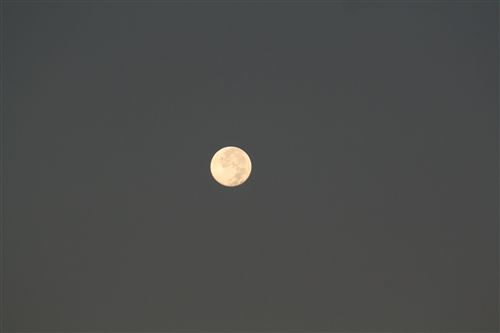早朝西空の月 011ｱｯﾌﾟ_R.jpg