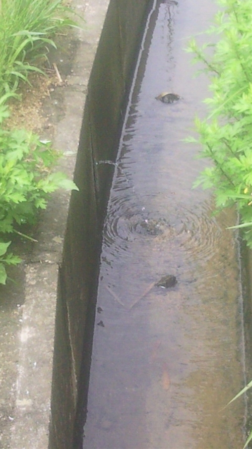 2012062噴水_R.jpg