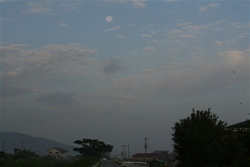 ９月１7日早朝の月と羊雲 002_R.jpg