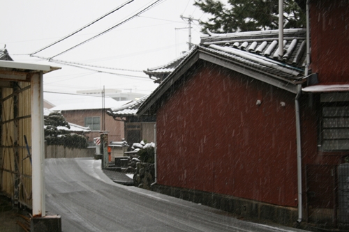 バレンタイン雪 (2)_R.JPG