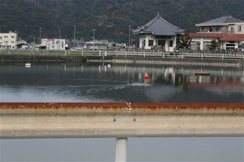 森長組横の川鵜_R.jpg