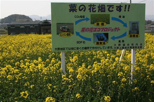 バイオ菜の花（沖田先生隣） 看板_R.jpg